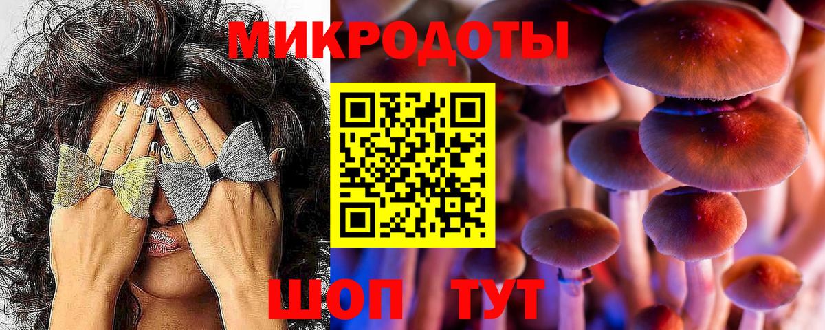 Галлюциногенные грибы GOLDEN TEACHER Армавир