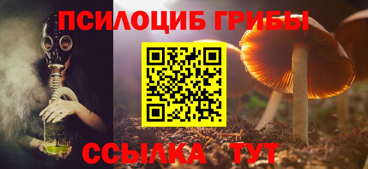 Армавир  Псилоцибиновые грибы мицелий  Вход с VPN  Псилоцибиновые грибы Psilocybine cubensis 